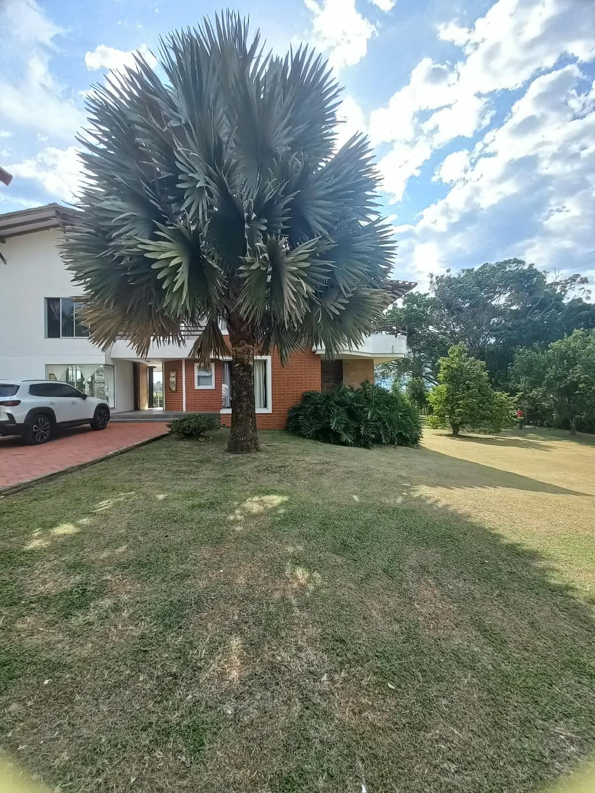 Venta casa campestre Combia Pereira — foto 77