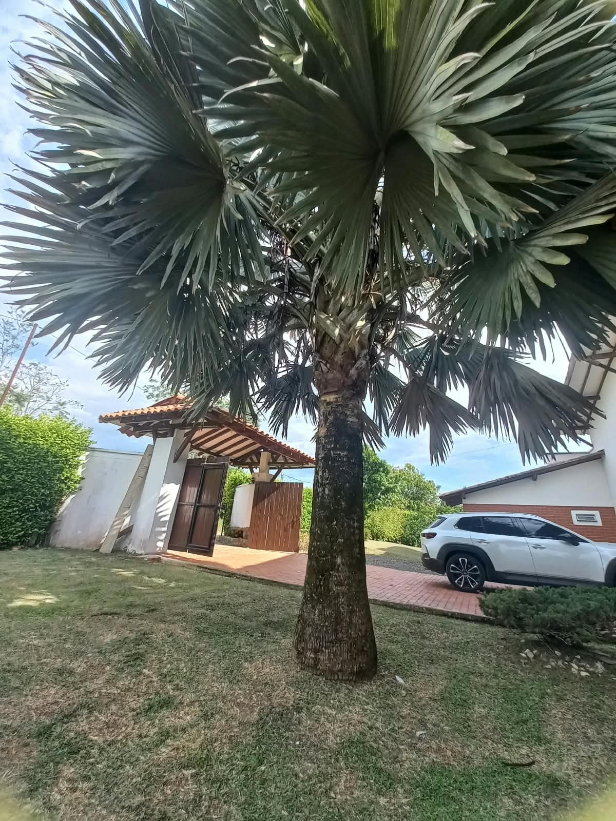 Venta casa campestre Combia Pereira — foto 68