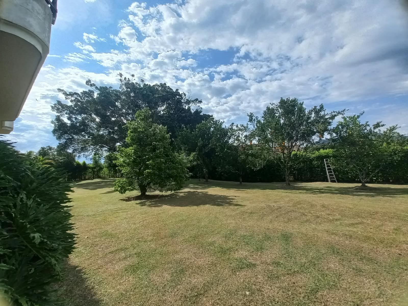 Venta casa campestre Combia Pereira — foto 67