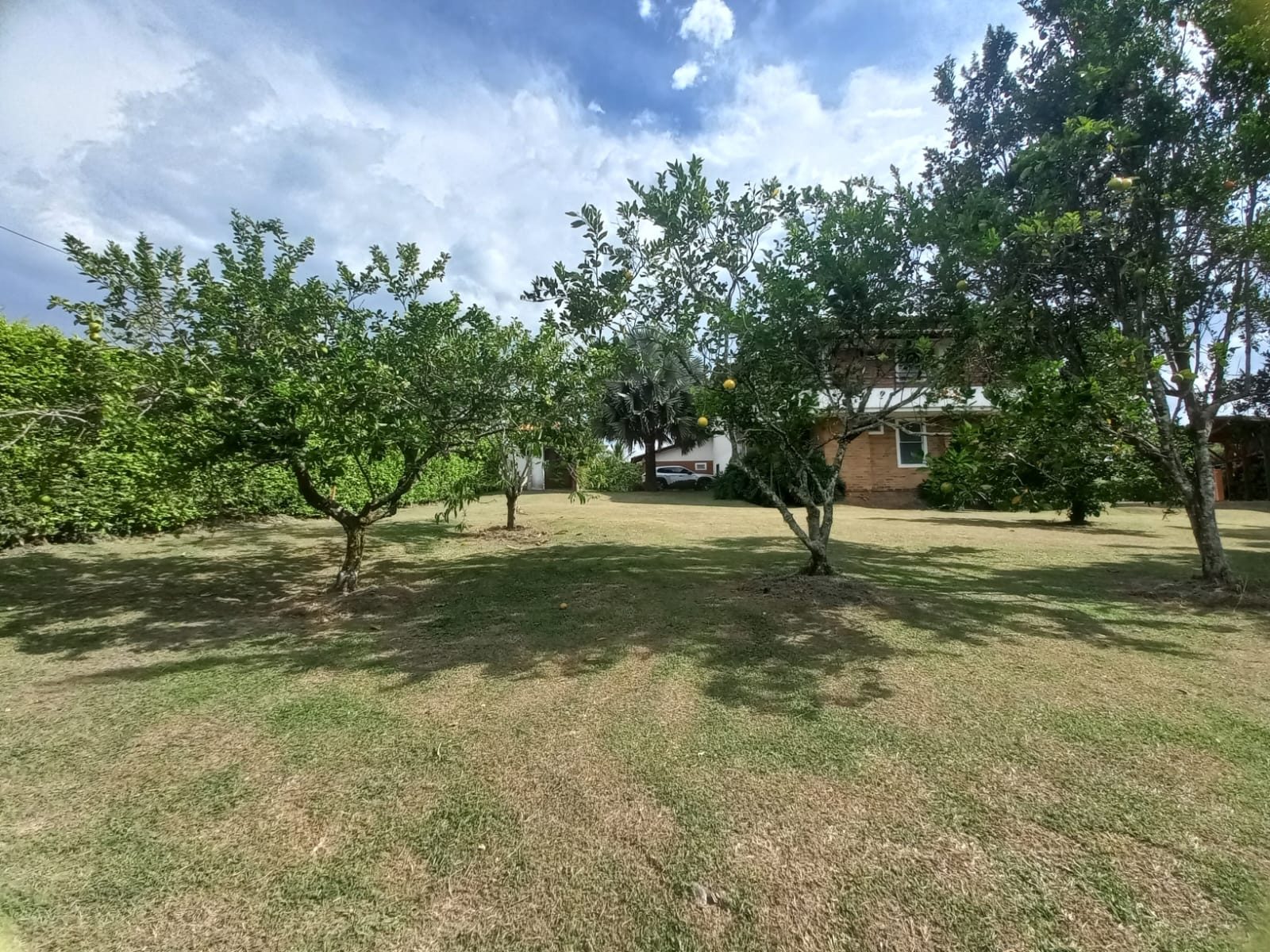 Venta casa campestre Combia Pereira — foto 79