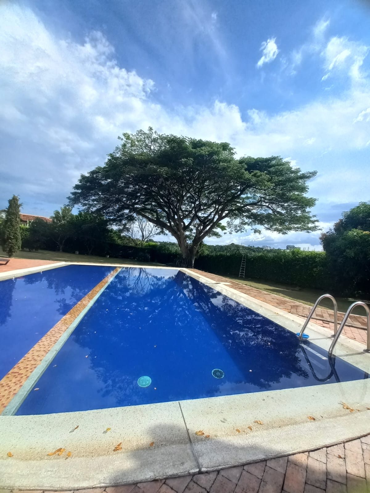 Venta casa campestre Combia Pereira — foto 51