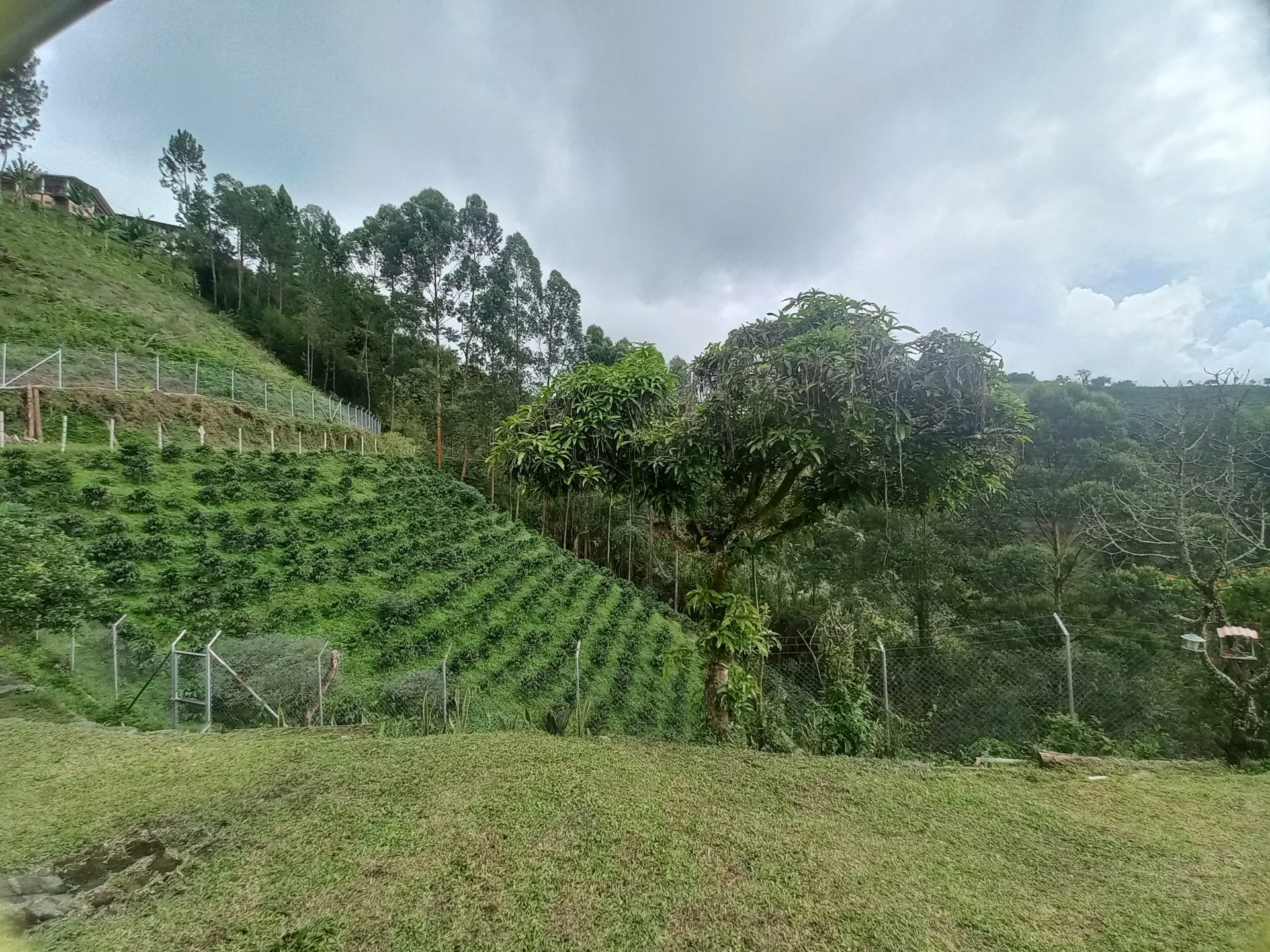 Venta finca El Estanquillo Dosquebradas — foto 30