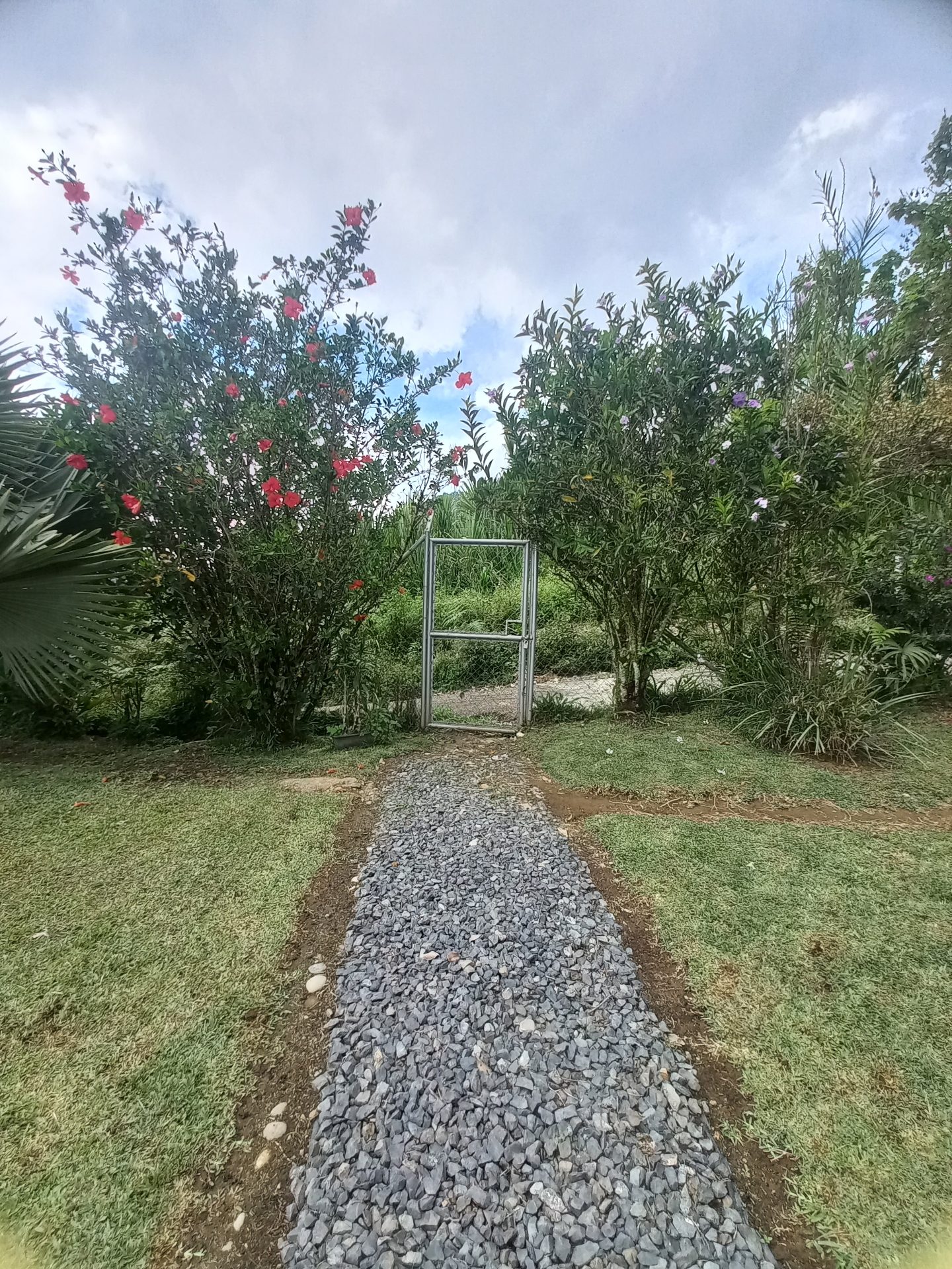 Venta finca El Estanquillo Dosquebradas — foto 6