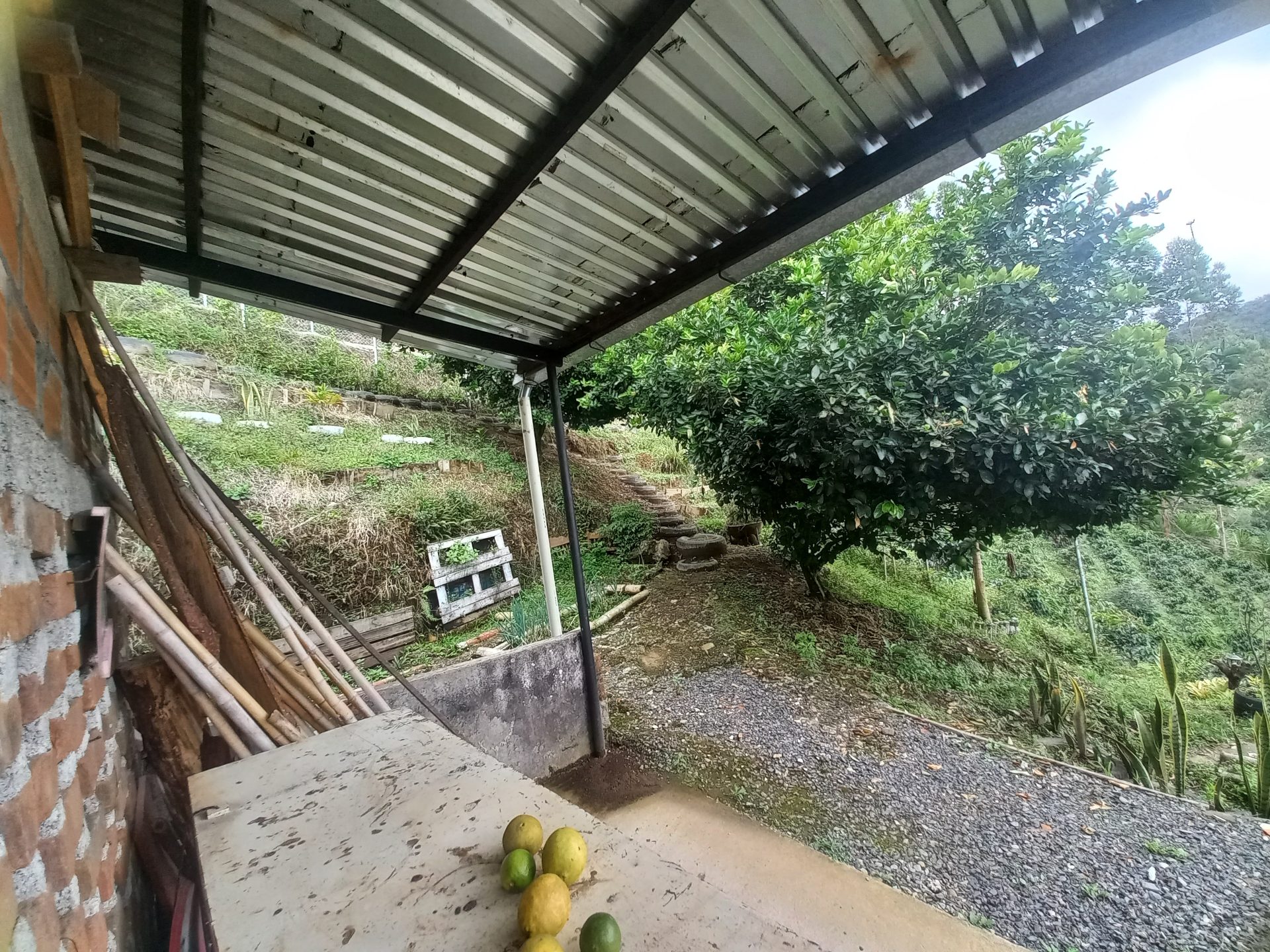 Venta finca El Estanquillo Dosquebradas — foto 27