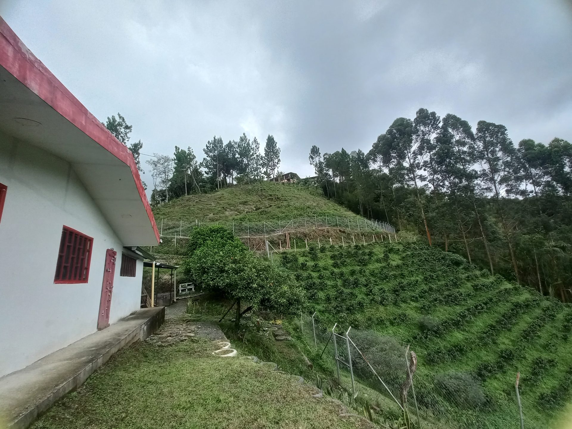 Venta finca El Estanquillo Dosquebradas — foto 28