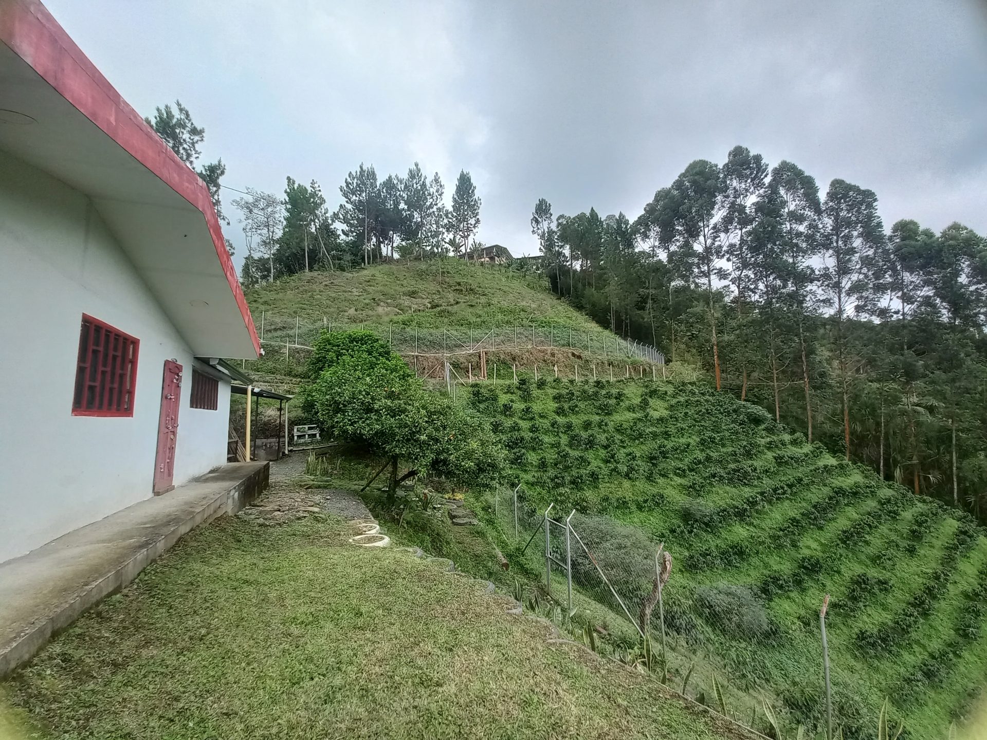 Venta finca El Estanquillo Dosquebradas — foto 29
