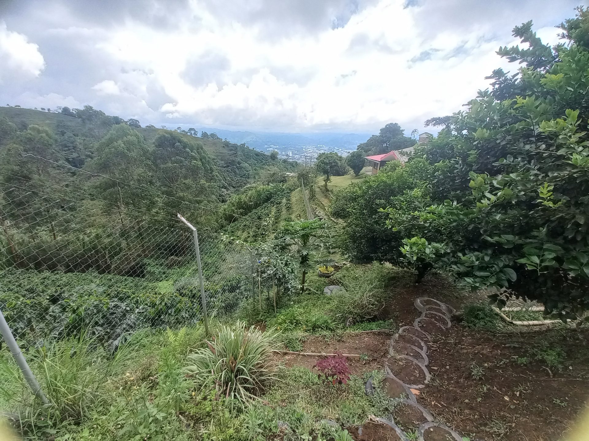 Venta finca El Estanquillo Dosquebradas — foto 26