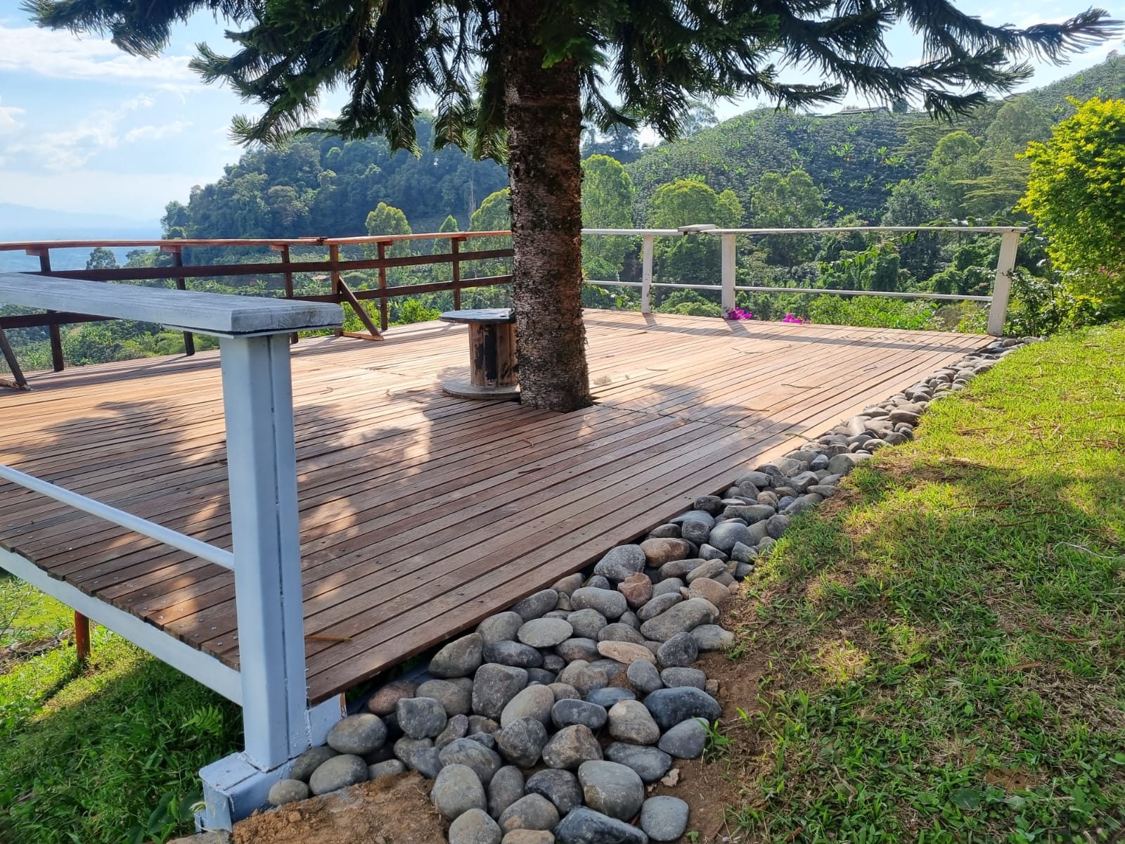 Venta finca Combia Pereira — foto 30