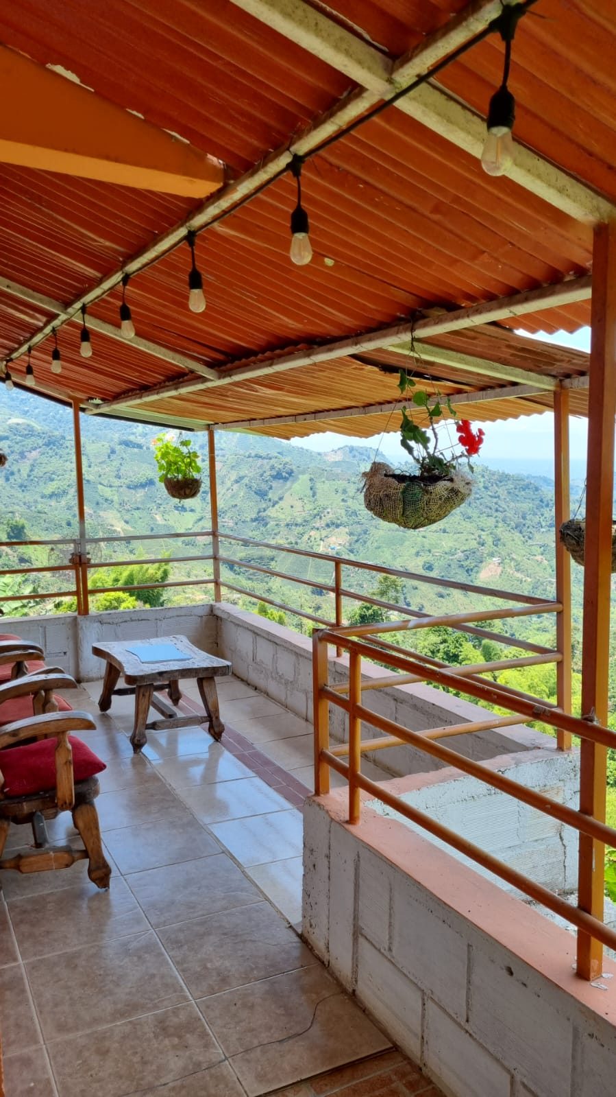 Venta finca Combia Pereira — foto 23