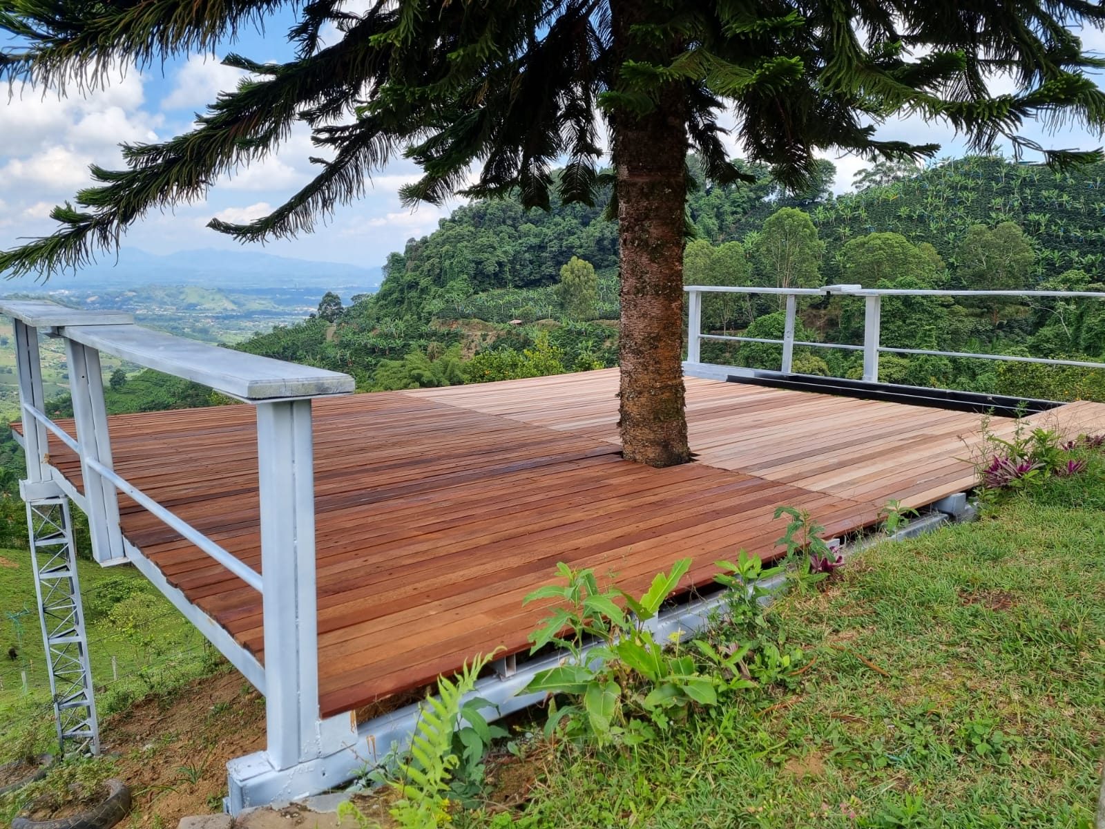 Venta finca Combia Pereira — foto 27