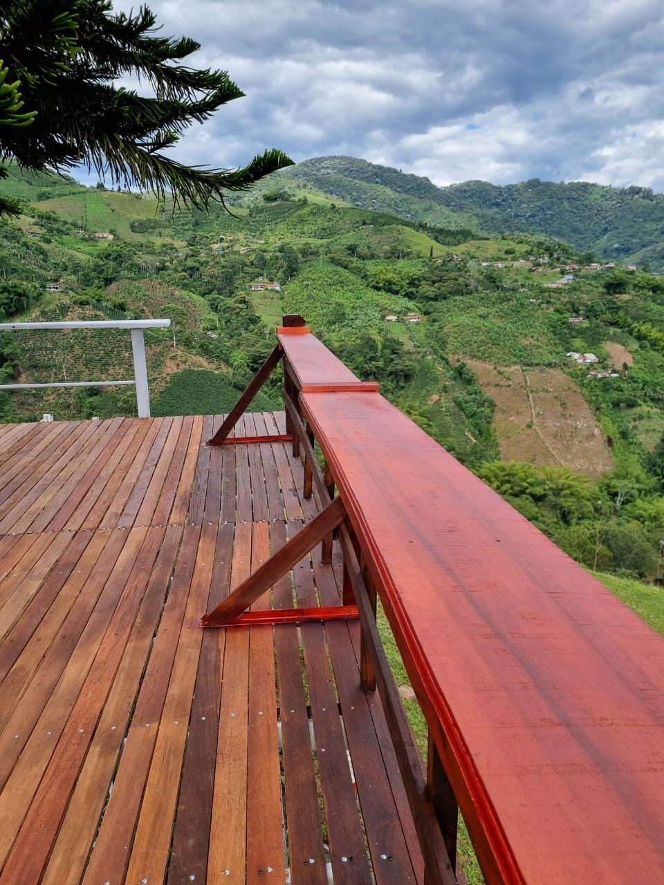 Venta finca Combia Pereira — foto 33