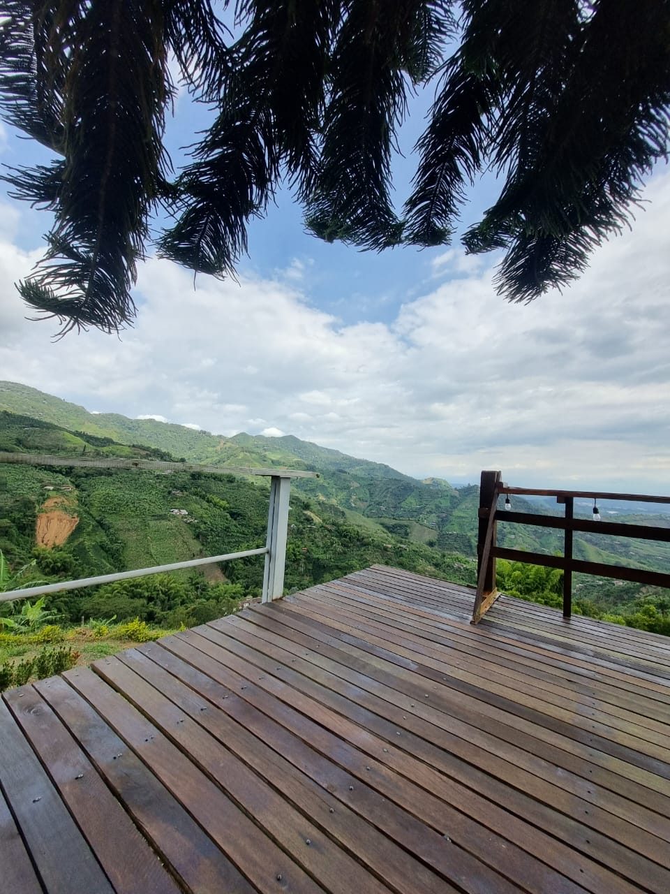 Venta finca Combia Pereira — foto 32