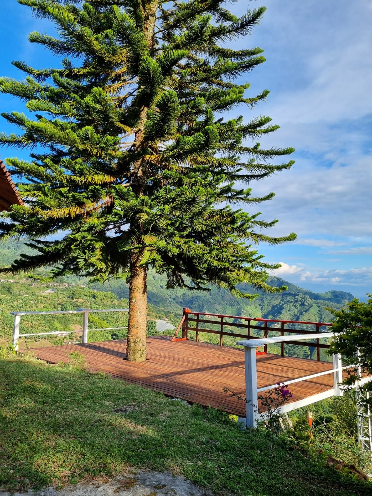 Venta finca Combia Pereira — foto 26