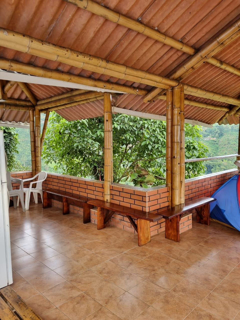 Venta finca Combia Pereira — foto 20