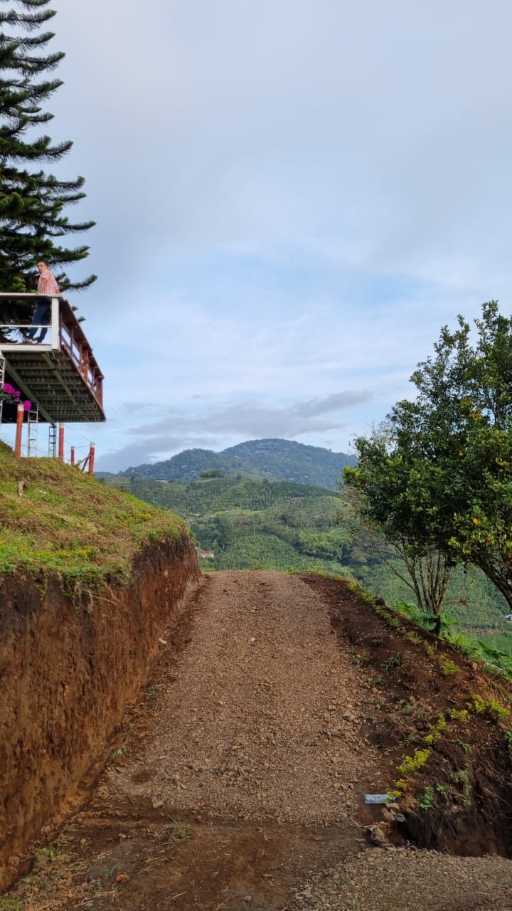 Venta finca Combia Pereira — foto 40