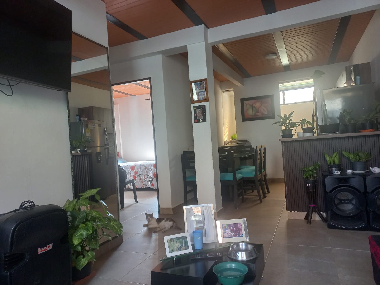 Venta edificio La Dulcera Pereira — foto 12