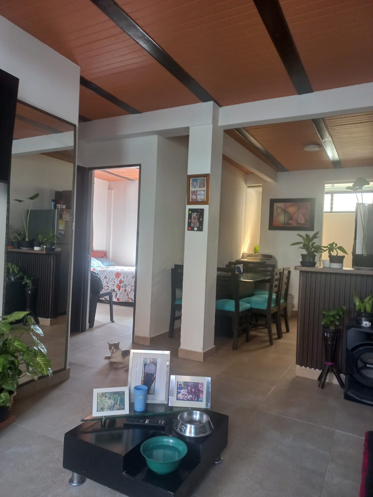Venta edificio La Dulcera Pereira — foto 11