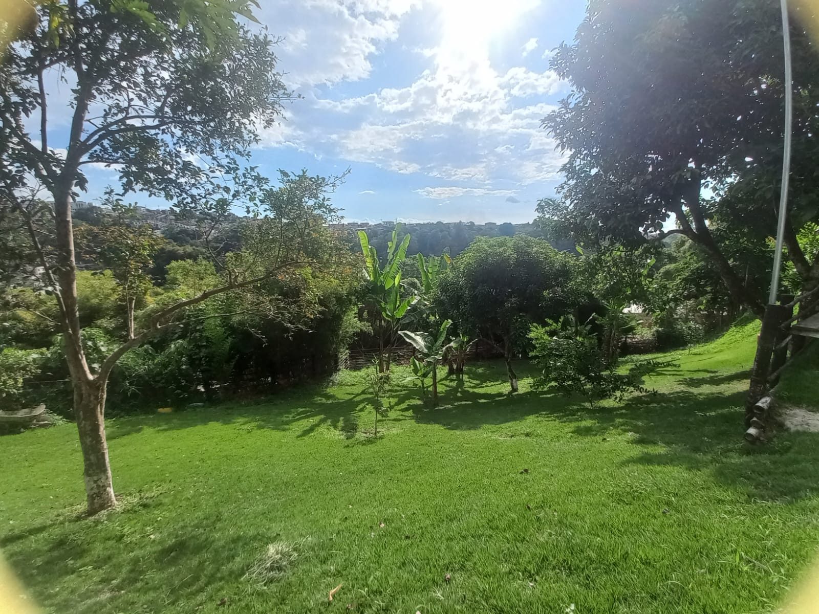 Venta edificio La Dulcera Pereira — foto 67