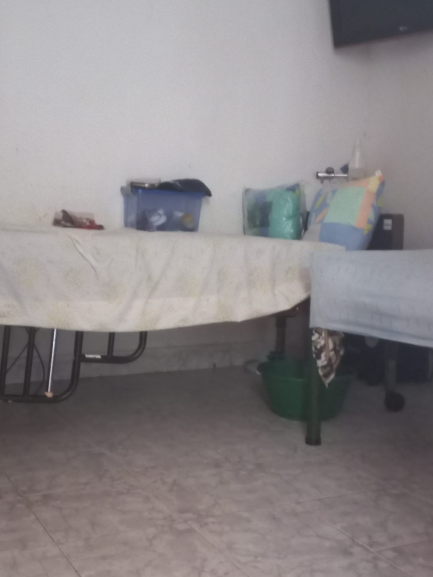 Venta casa Centro Pereira — foto 27
